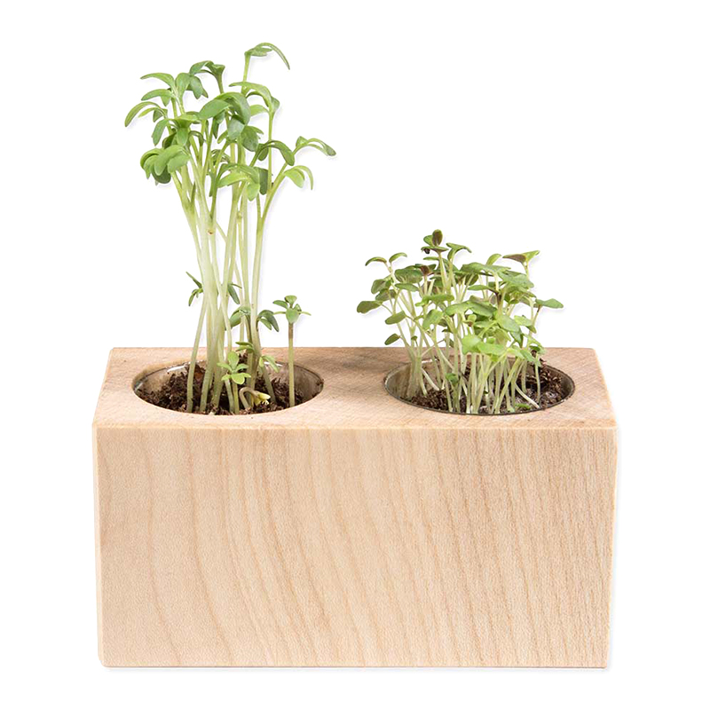 Plantenset dubbel - Afbeelding 2